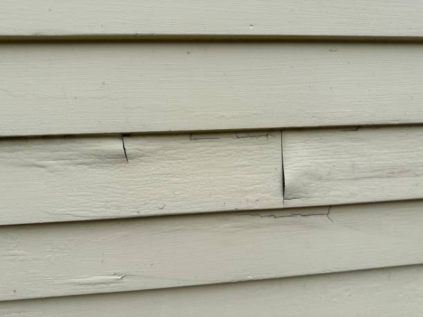 Siding for Commercial Buildings in Alexandria, AL